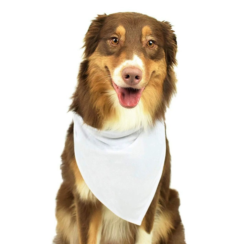 30pcs White Polyester Blank Do - Bandana Blank White 评论和价格