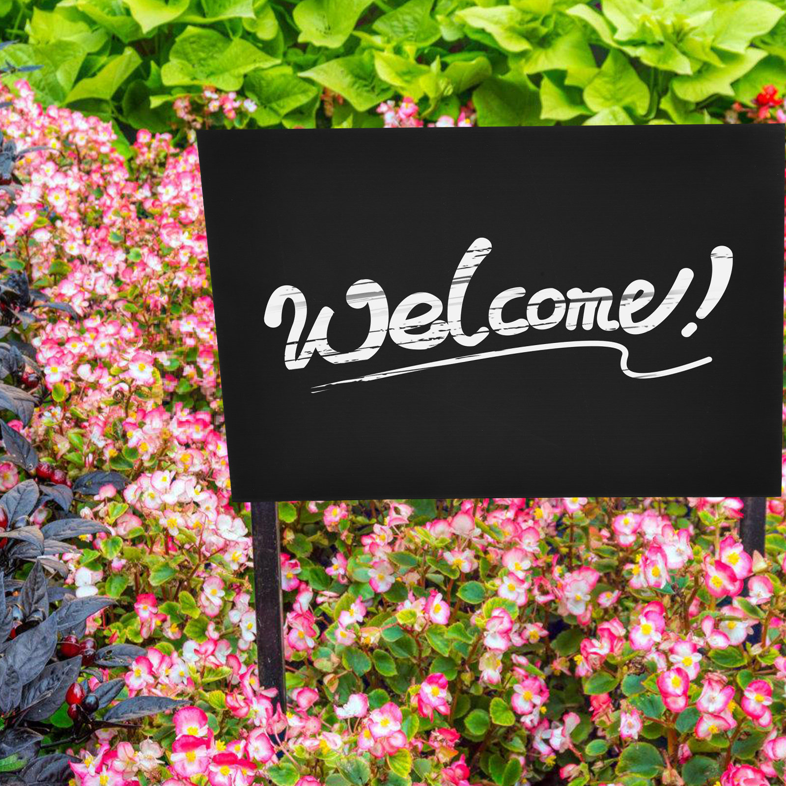 2Pcs Blank Outdoor Yard Sign L - Yard Sign Blank 评论和价格